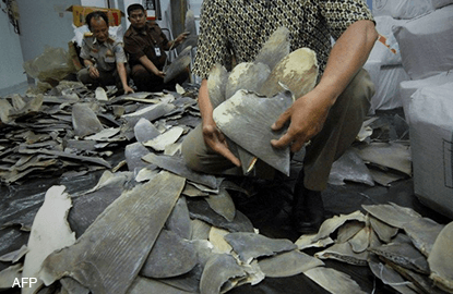main news image