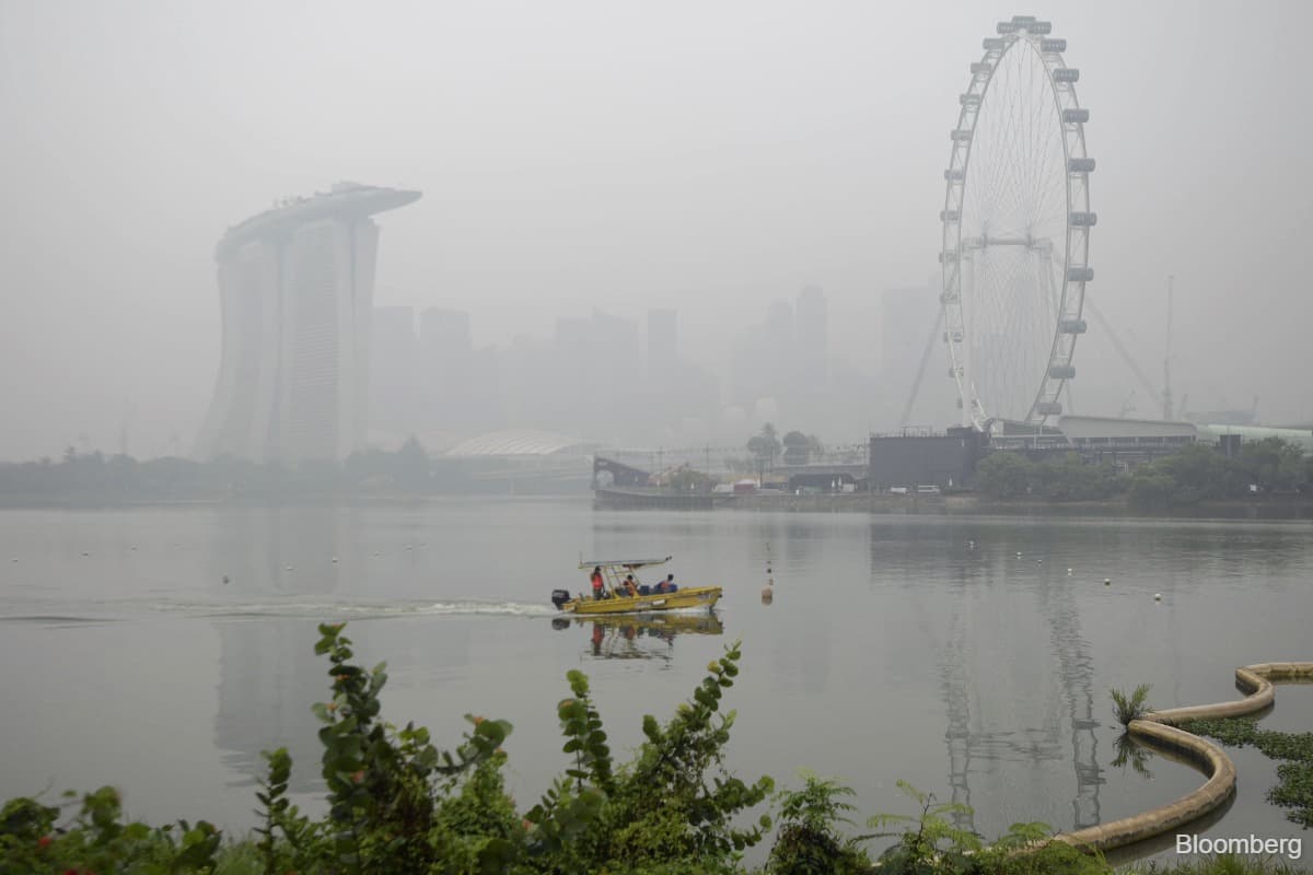 main news image