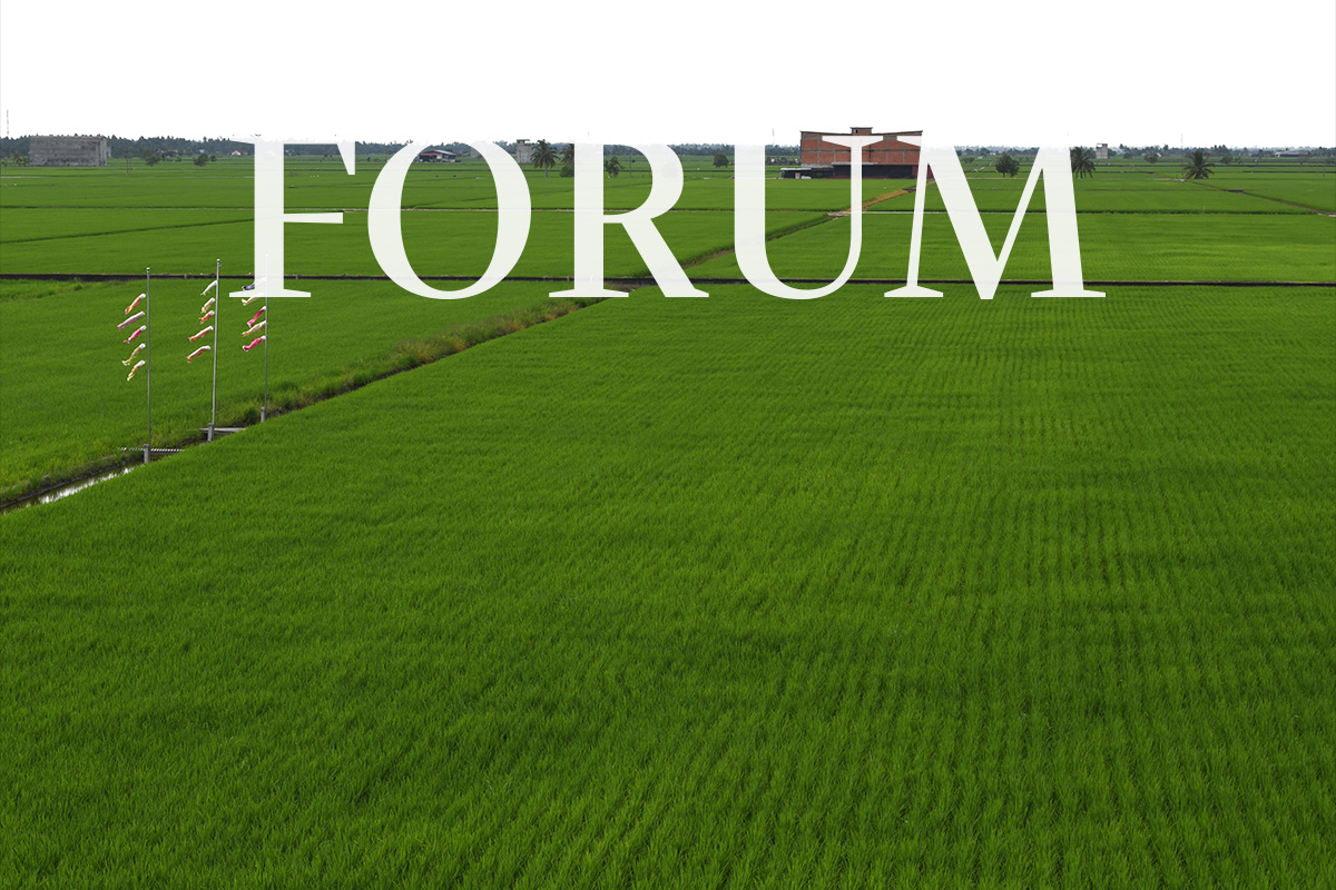 main news image