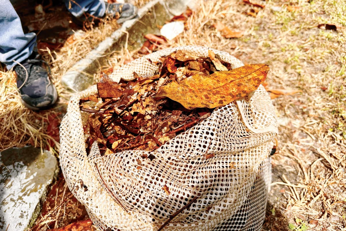 main news image