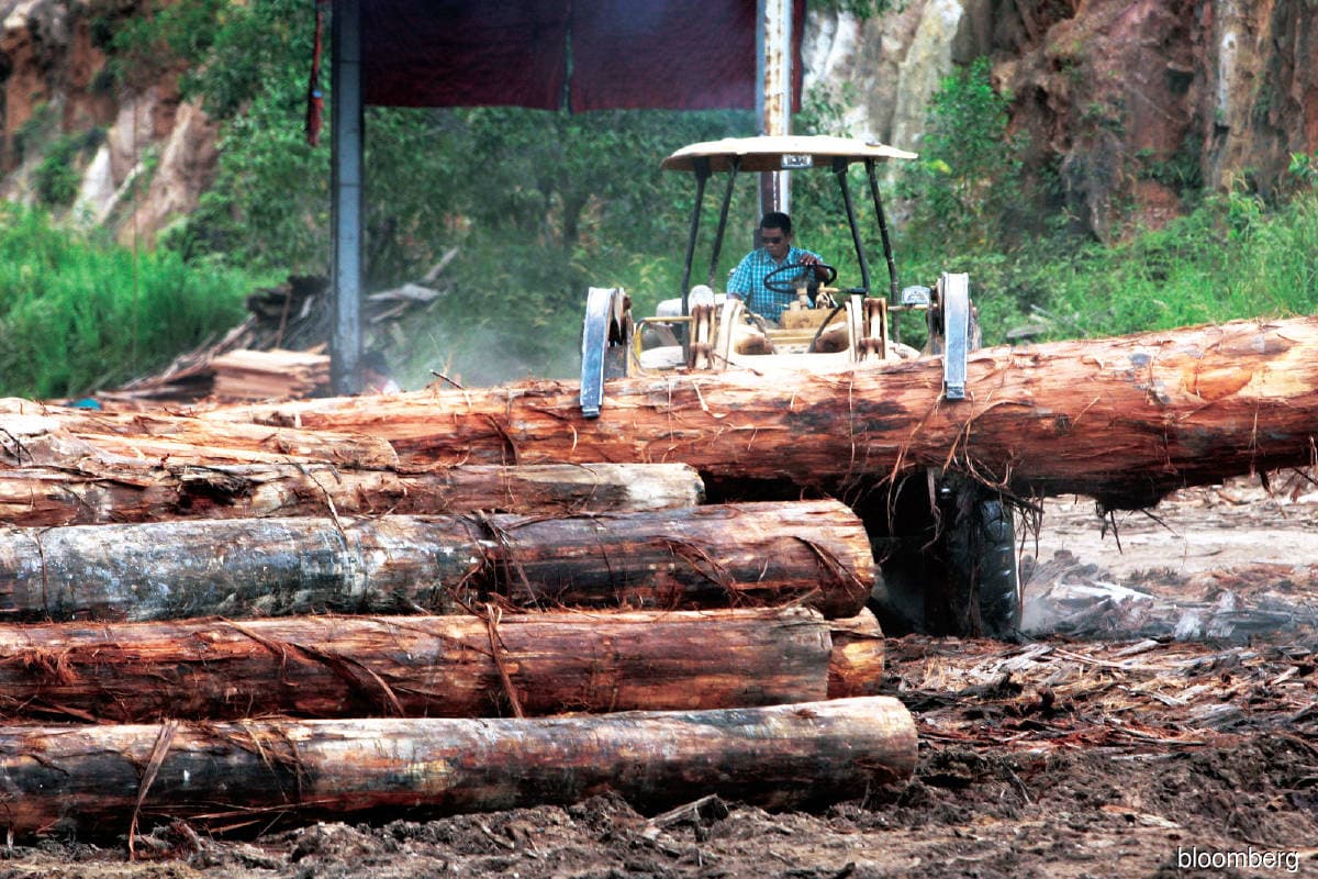 main news image