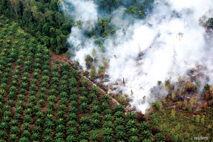 main news image