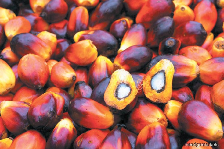 main news image