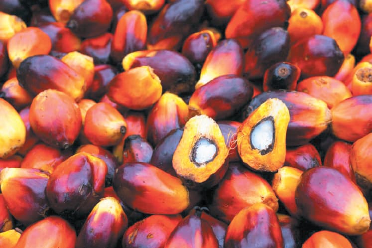 main news image