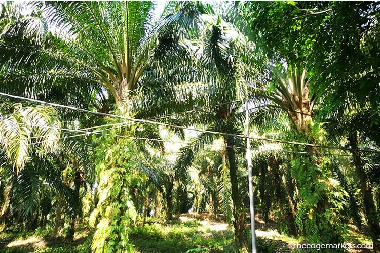 main news image