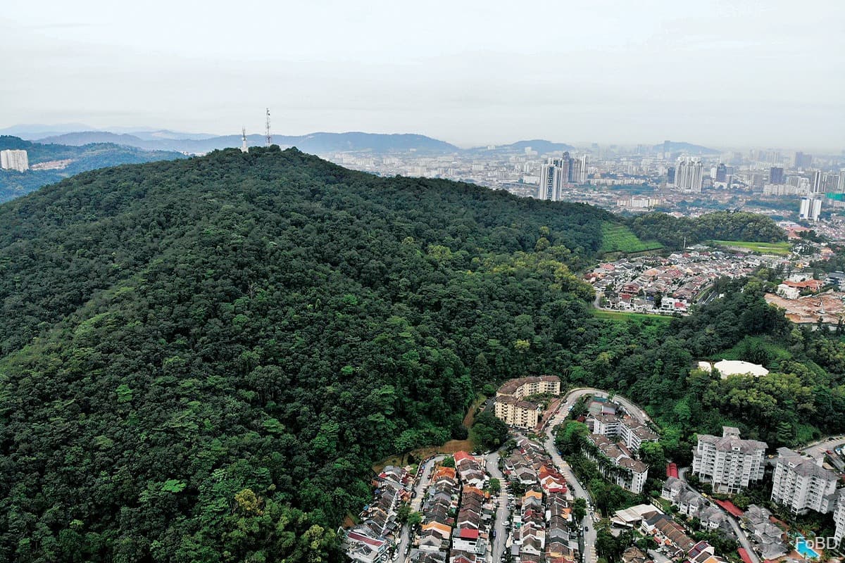 main news image