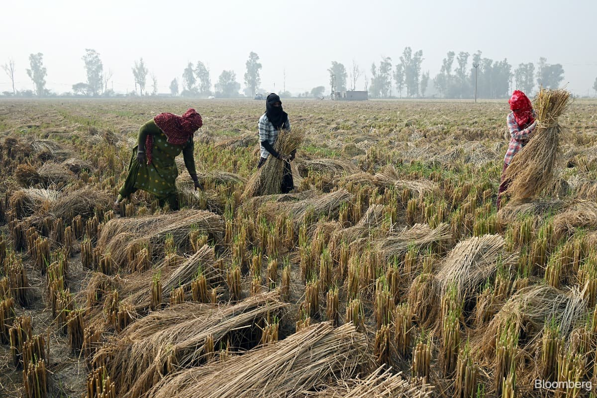 main news image