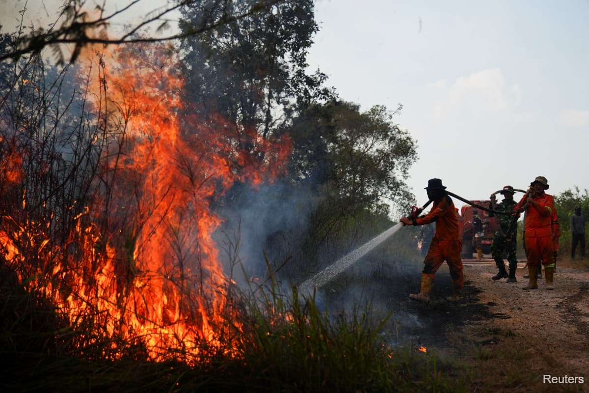 main news image