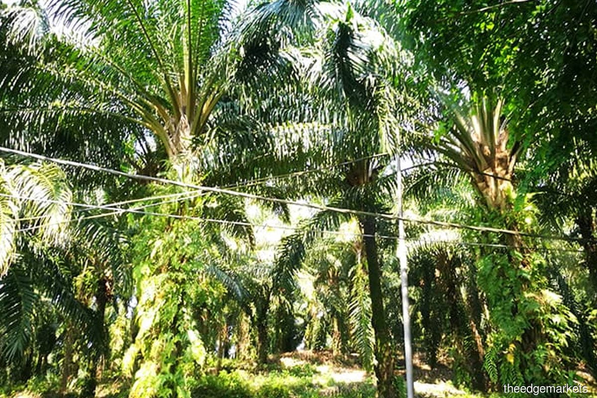 main news image
