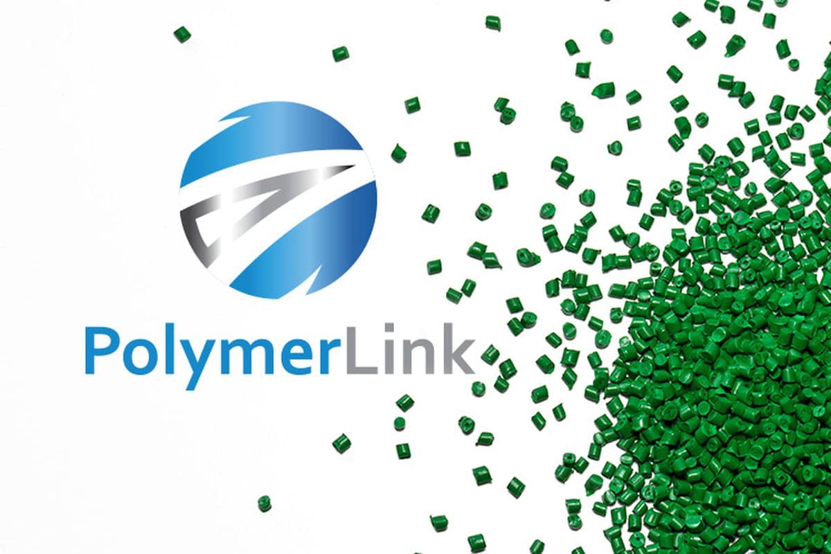 main news image
