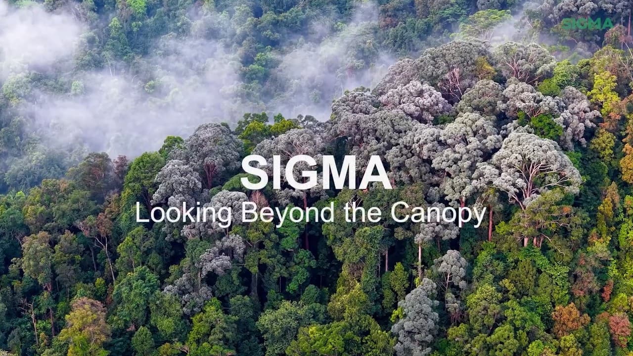 Looking Beyond The Canopy