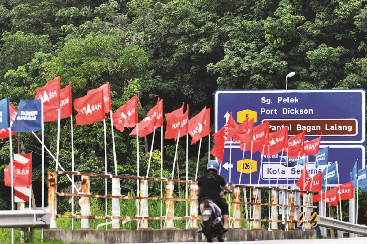 main news image