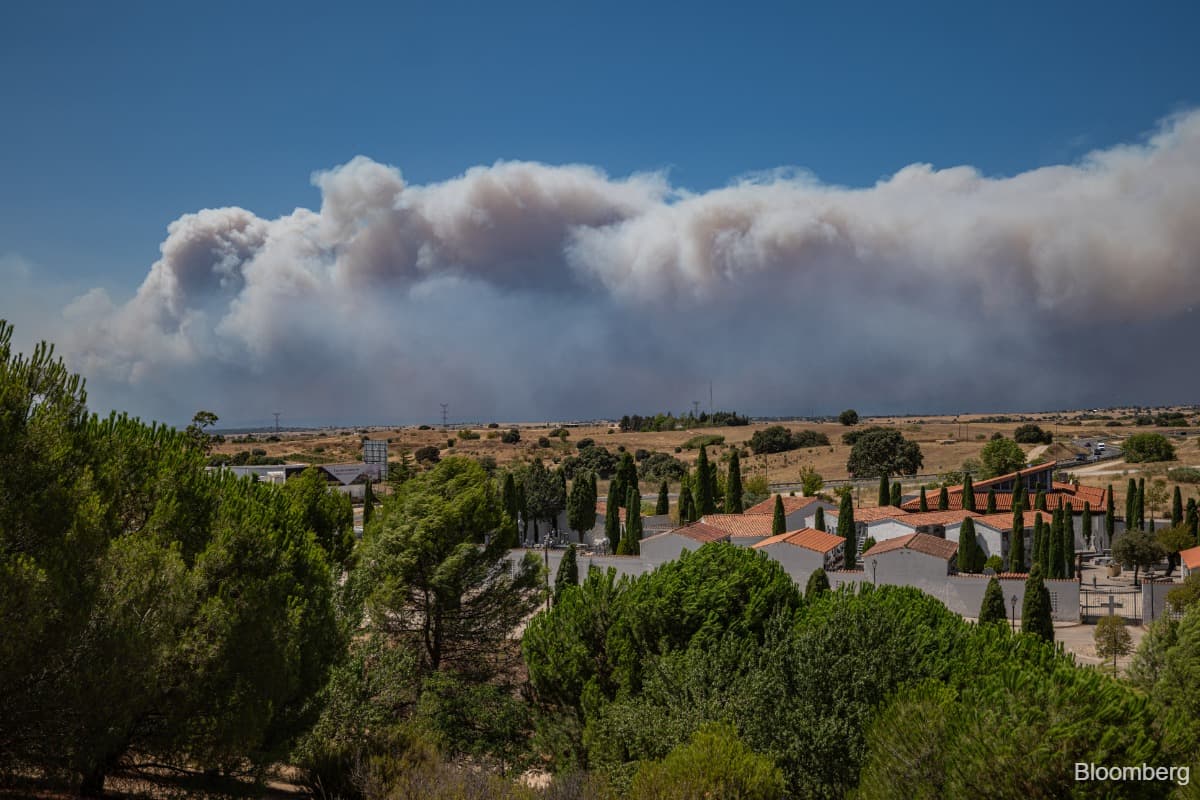 main news image