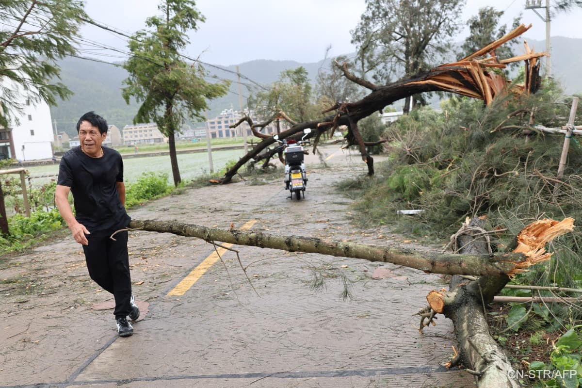 main news image