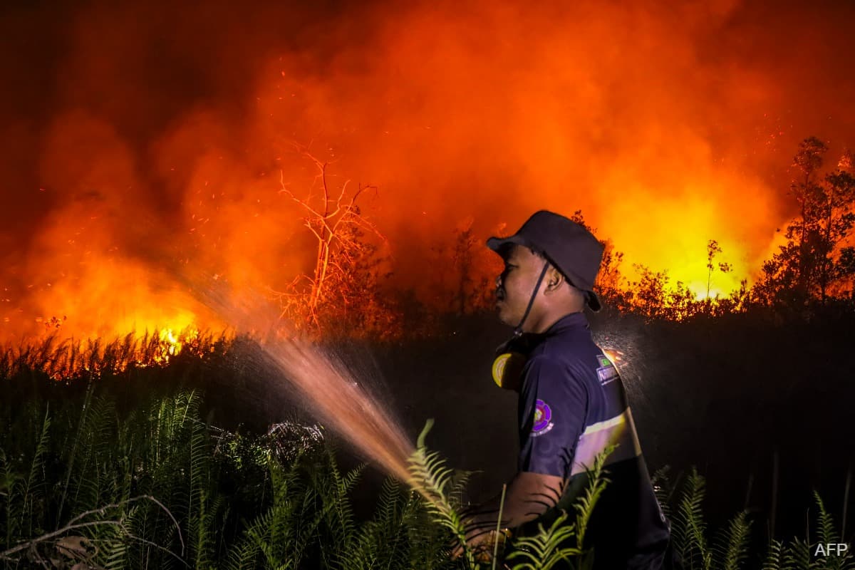 main news image