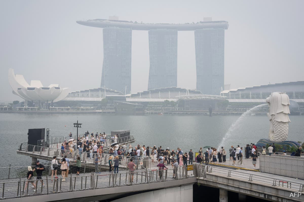 main news image