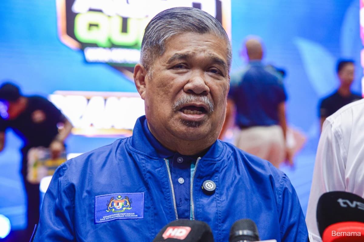 main news image