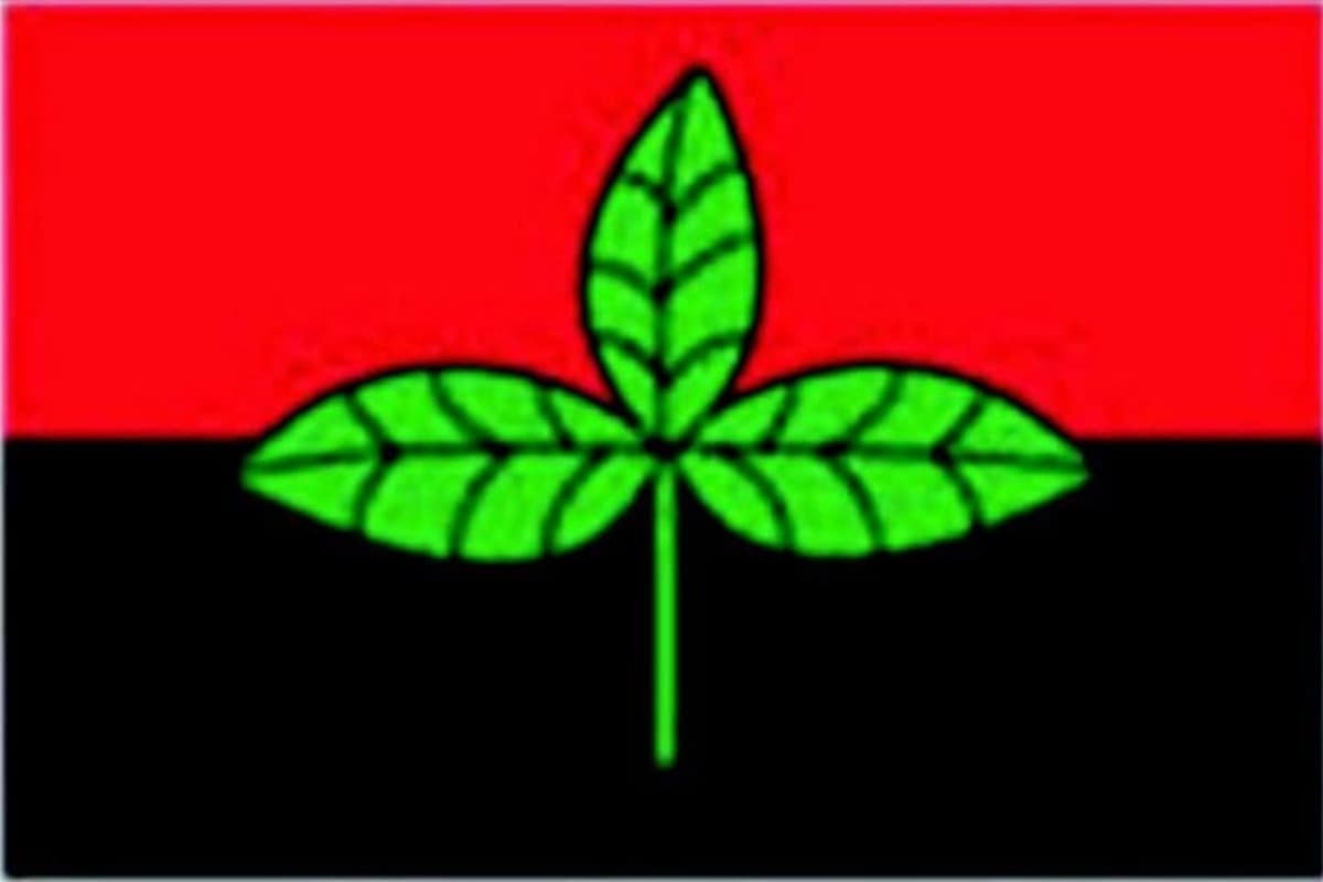 main news image