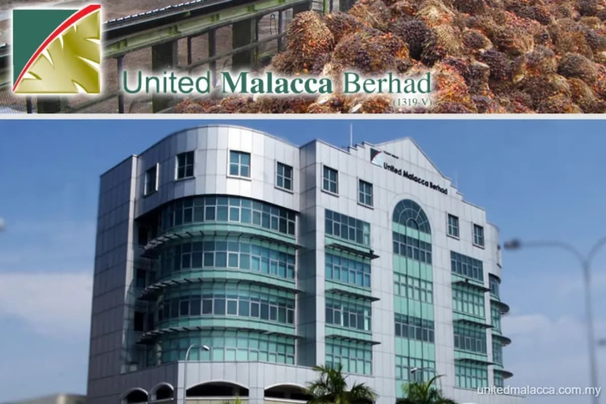 main news image
