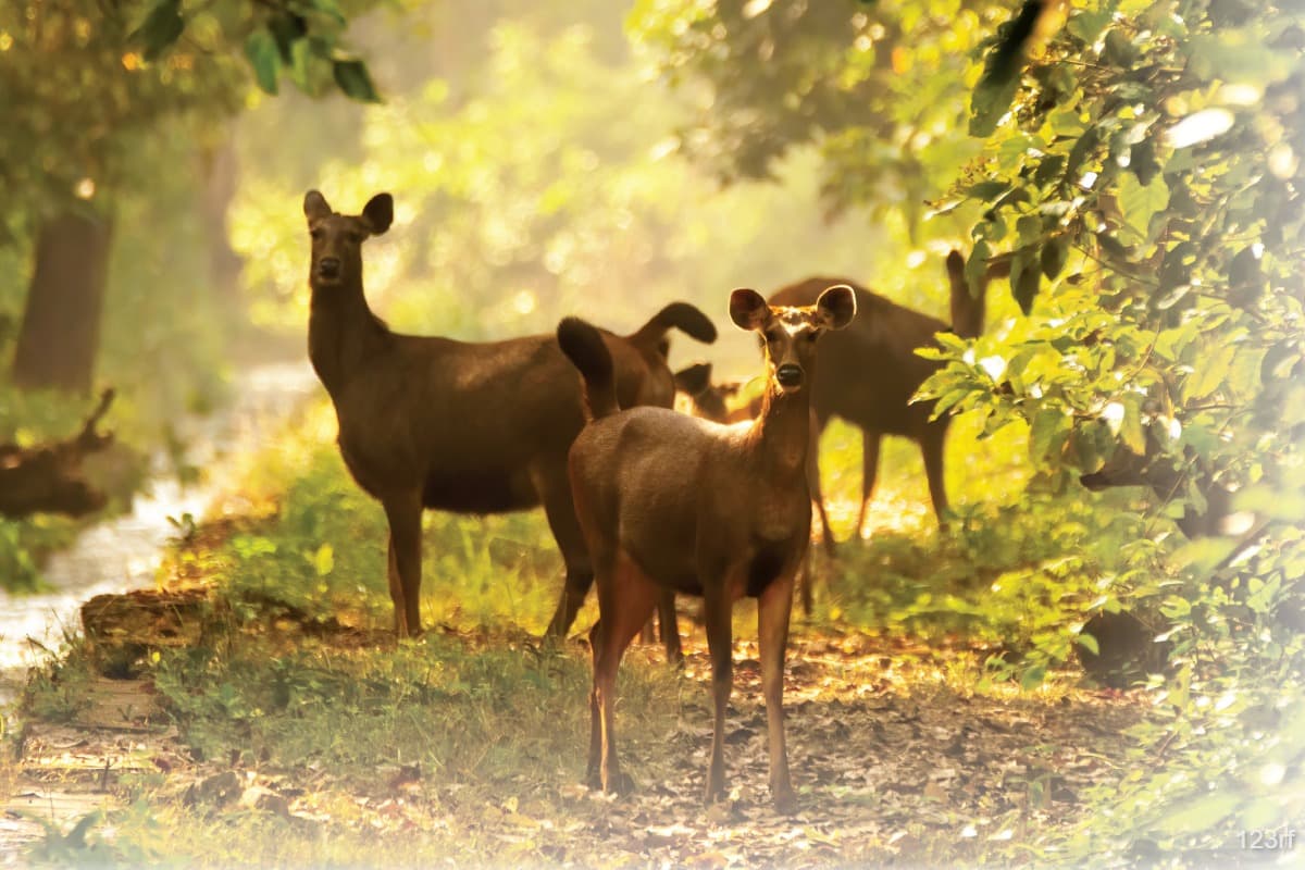 main news image