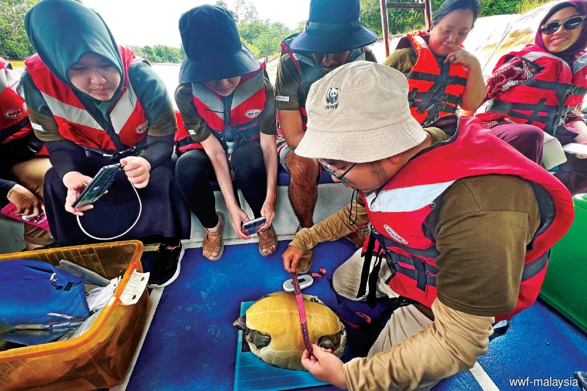 main news image