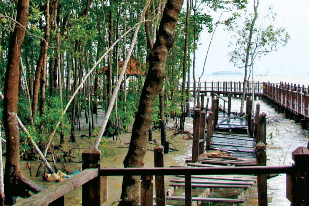 main news image