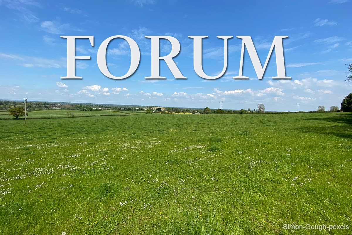 main news image