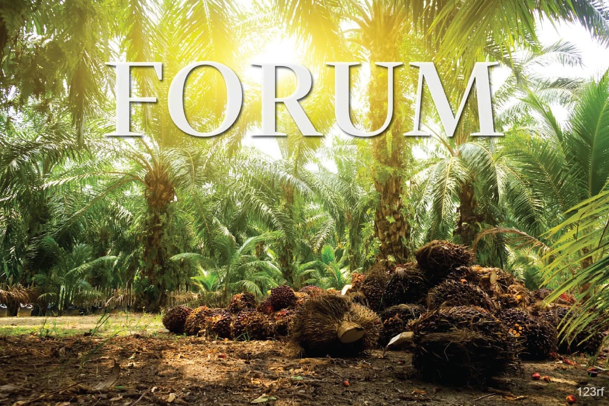 main news image
