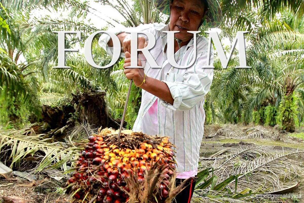 main news image