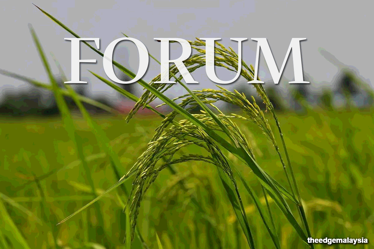 main news image
