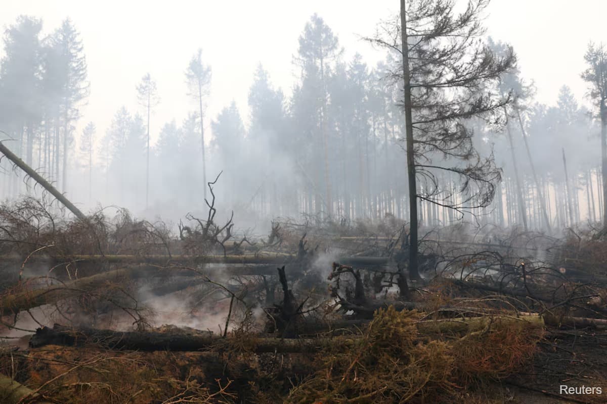 main news image