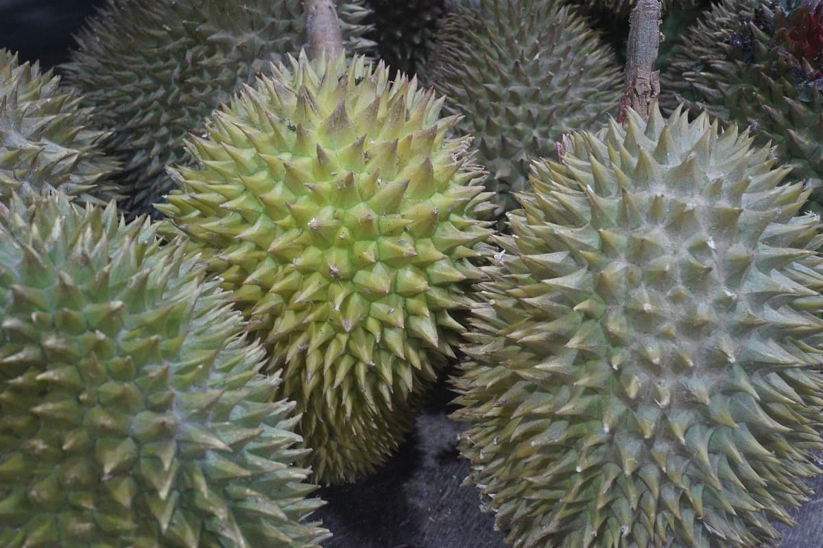 main news image