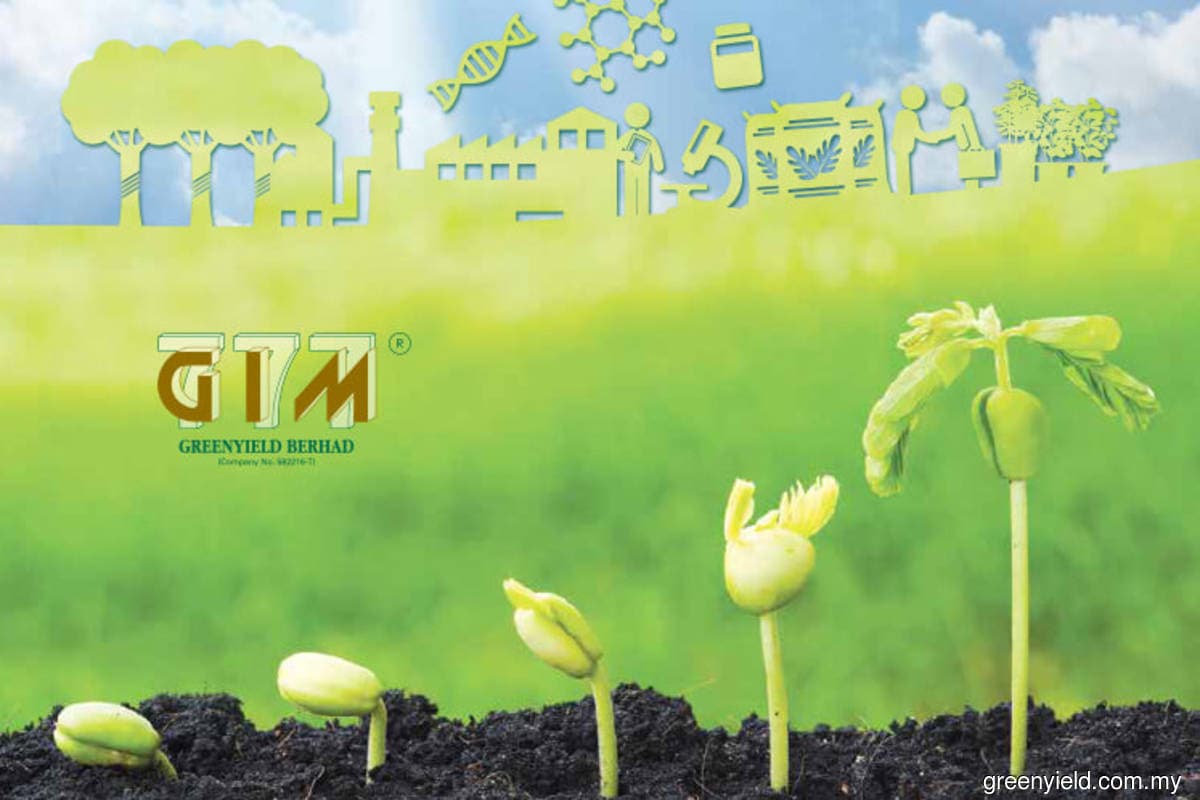 main news image