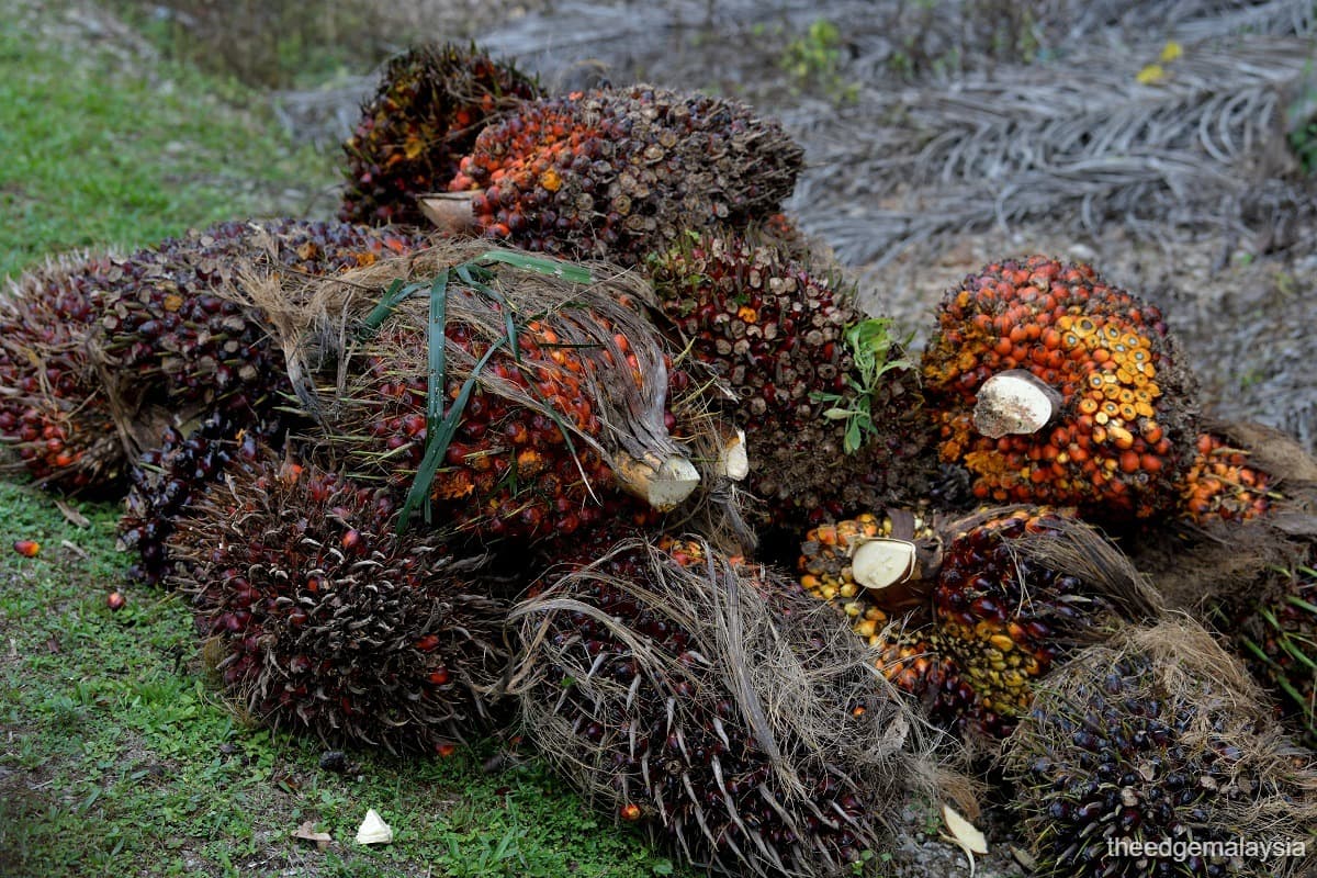 main news image