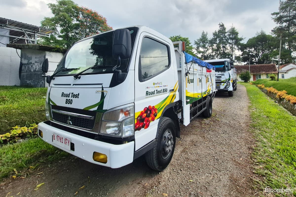 main news image