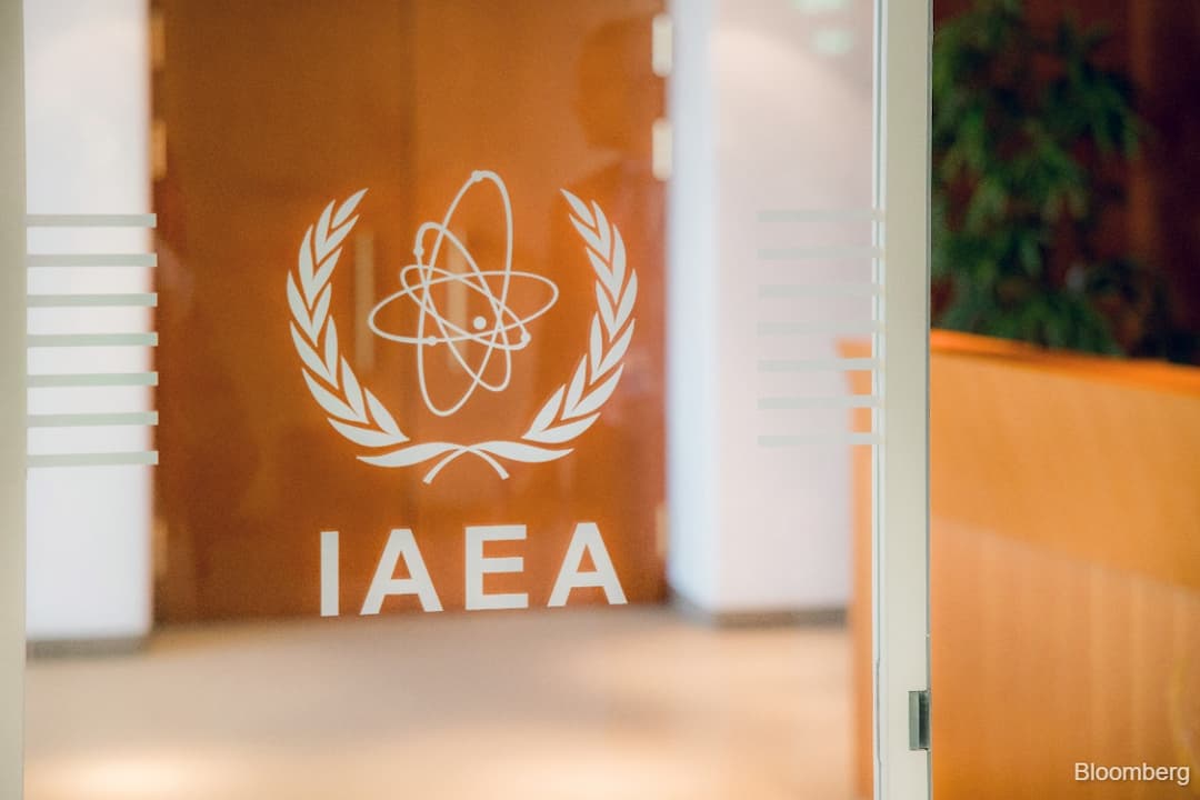 Unaec UN atomic watchdog will assess if Singapore is ready to use nuclear energy